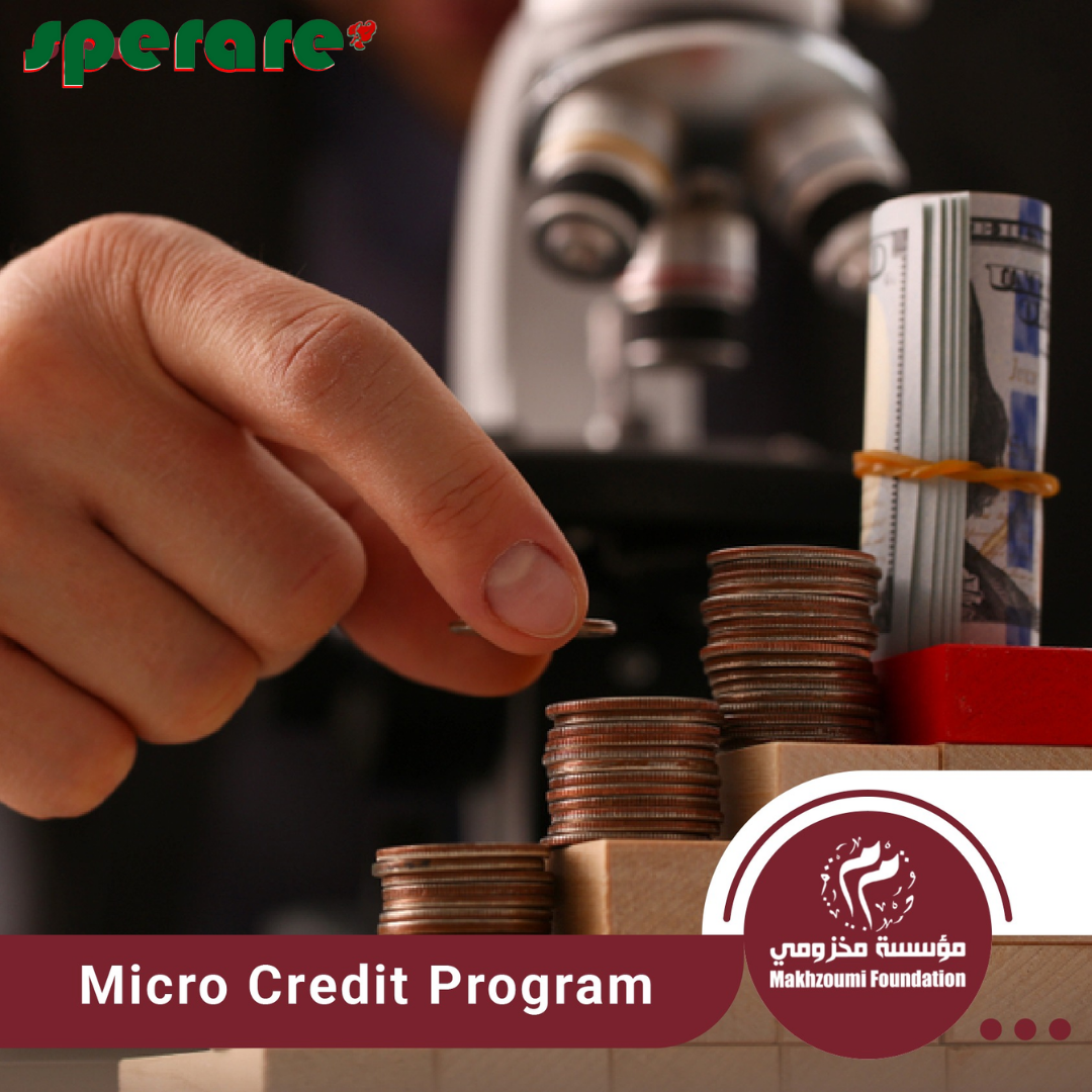 Empower your dreams with smart microfinancing